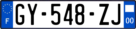 GY-548-ZJ
