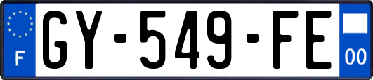 GY-549-FE