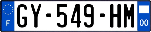 GY-549-HM