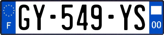 GY-549-YS
