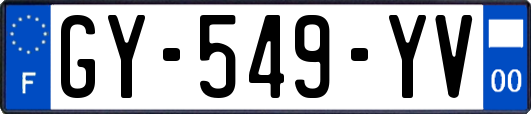 GY-549-YV