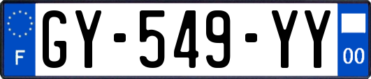 GY-549-YY