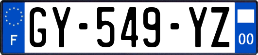 GY-549-YZ