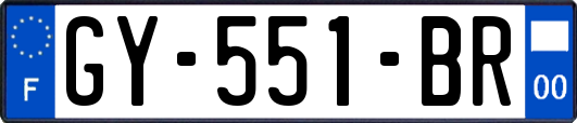 GY-551-BR
