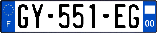 GY-551-EG