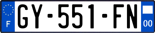 GY-551-FN
