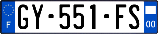 GY-551-FS