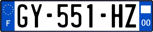 GY-551-HZ