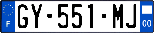 GY-551-MJ