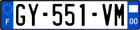 GY-551-VM