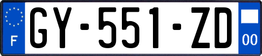 GY-551-ZD