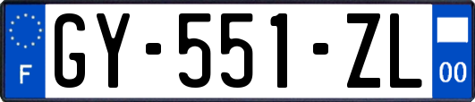 GY-551-ZL