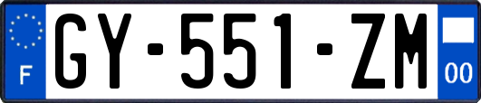 GY-551-ZM