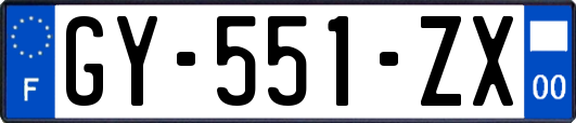 GY-551-ZX