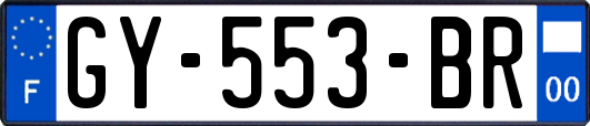 GY-553-BR