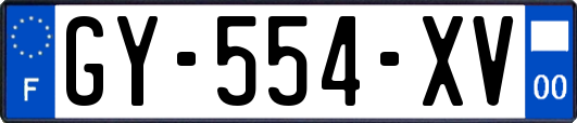 GY-554-XV