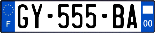 GY-555-BA