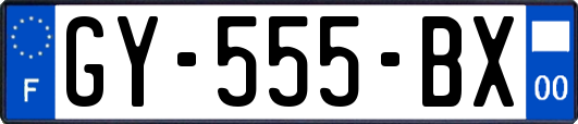 GY-555-BX