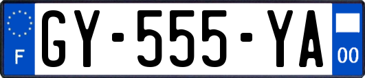 GY-555-YA