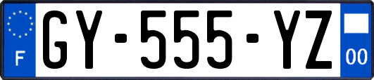 GY-555-YZ