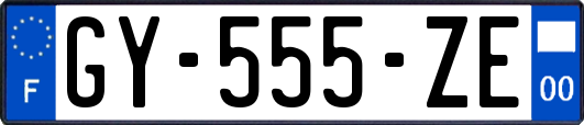 GY-555-ZE