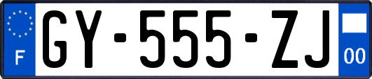 GY-555-ZJ