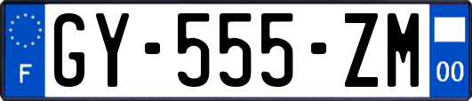 GY-555-ZM