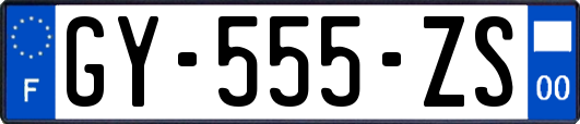 GY-555-ZS