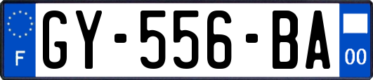 GY-556-BA