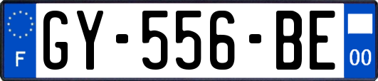 GY-556-BE