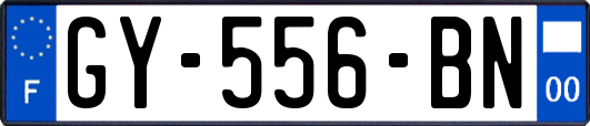GY-556-BN