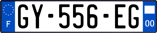 GY-556-EG
