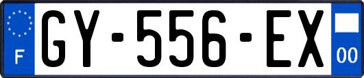 GY-556-EX