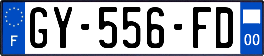 GY-556-FD