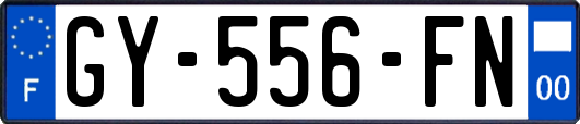 GY-556-FN