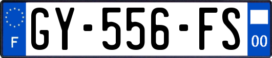 GY-556-FS