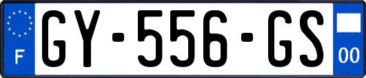 GY-556-GS