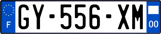 GY-556-XM