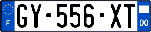 GY-556-XT