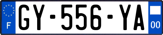 GY-556-YA