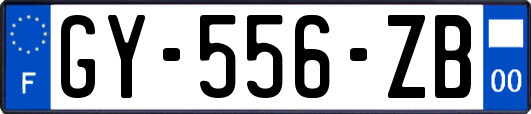 GY-556-ZB