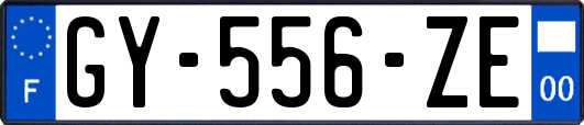 GY-556-ZE