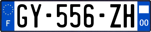 GY-556-ZH