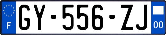 GY-556-ZJ