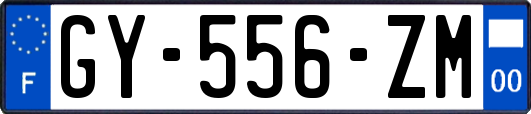GY-556-ZM