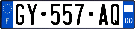 GY-557-AQ