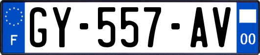GY-557-AV