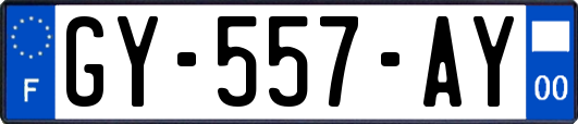 GY-557-AY