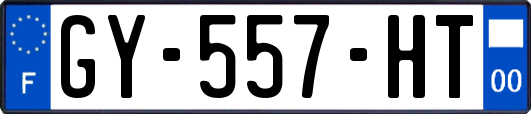 GY-557-HT