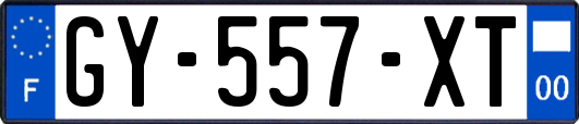 GY-557-XT